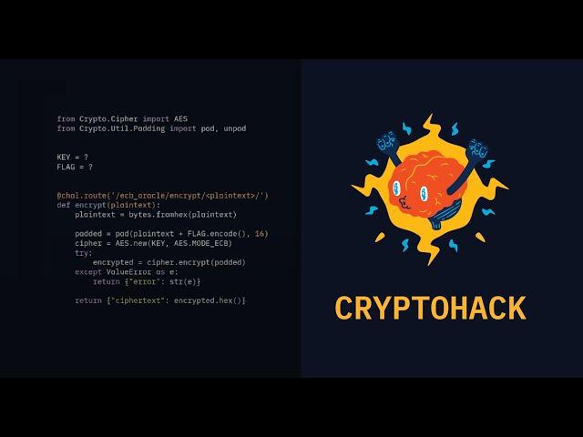 AES-ECB Cryptography - Breaking Encryption Without a Key