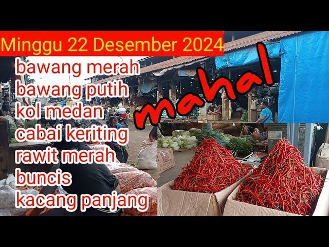 SORE INI MASIH SERBA MAHAL‼️KOL MEDAN CABAI KERITING RAWIT ORI BUNCIS KACANG PANJANG SAWI