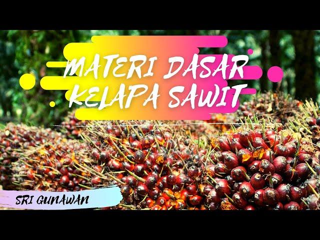 Materi Dasar Perkebunan Kelapa Sawit | Kuliah ONLINE #INSTIPER