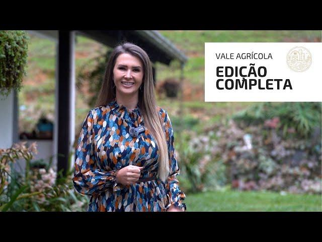 VALE AGRICOLA 329 (10/08/2024)