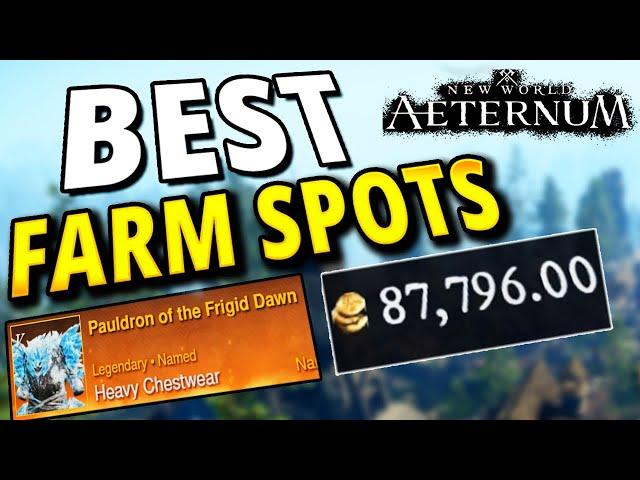 New Players Need To know These Farm Spots New World Aeternum