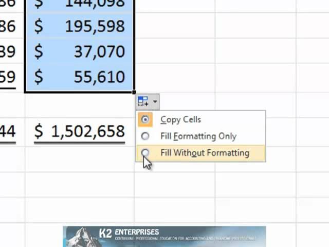 Speeding Data Entry With Excel's Auto Fill Options.mp4