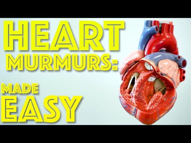 Heart Murmurs Made Easy - Aortic and Mitral Heart Murmurs explained - Cardiology - Dr Gill