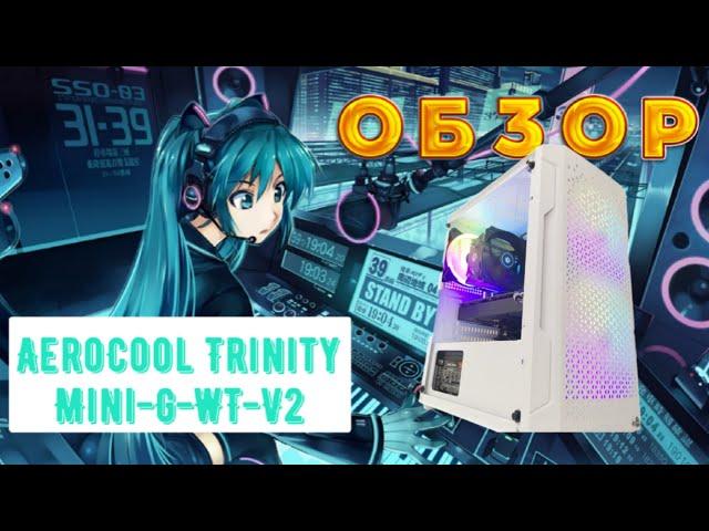 Корпус AeroCool Trinity Mini-G-WT-v2 ЖЕНСКИЙ ?!