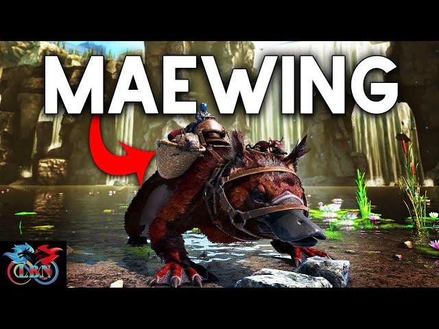 WHAT YOU NEED TO KNOW ABOUT THE MAEWING - ARK GENESIS 2