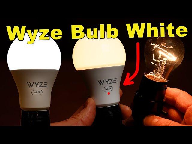 Wyze Bulb White - Here's Why I Think They're Incredible!!