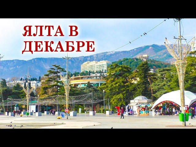 Yalta Embankment in December. Almost like in summer, only better! New Year's Eve Yalta.