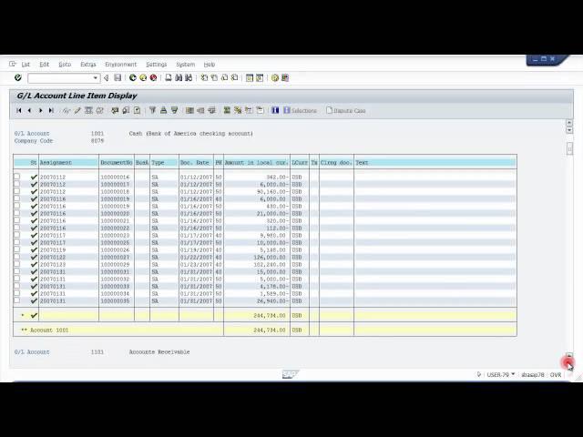 SAP GL Account Line Item Display (Account Ledger)