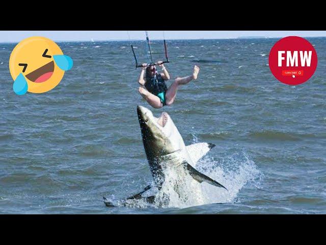 Funny & Hilarious People's Life  #53 - Try not to Laugh | Funny Fails compilation 2024