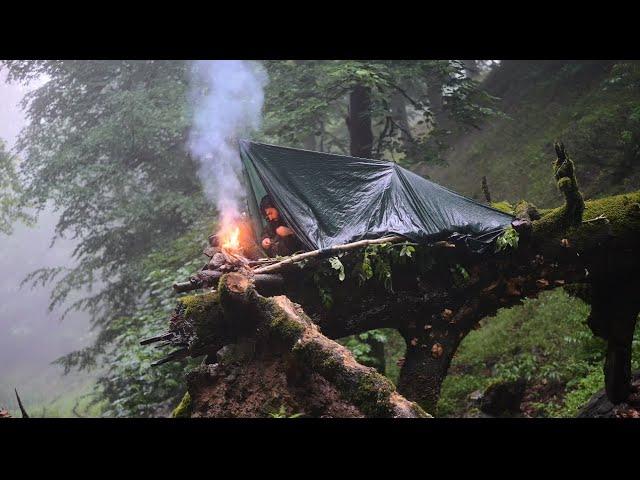 Building a tree shelter : camping in a rainstorm