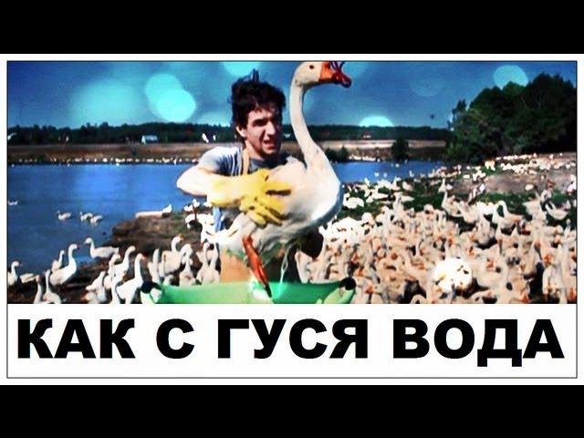 Галилео. Как с гуся вода