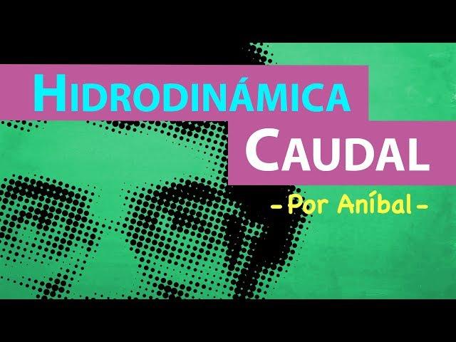 Caudal: Teoría | Biofísica CBC | Física En Segundos - por Aníbal -