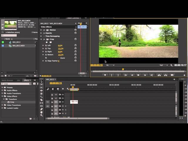 Adobe Premiere Pro - export widescreen video without letterboxing