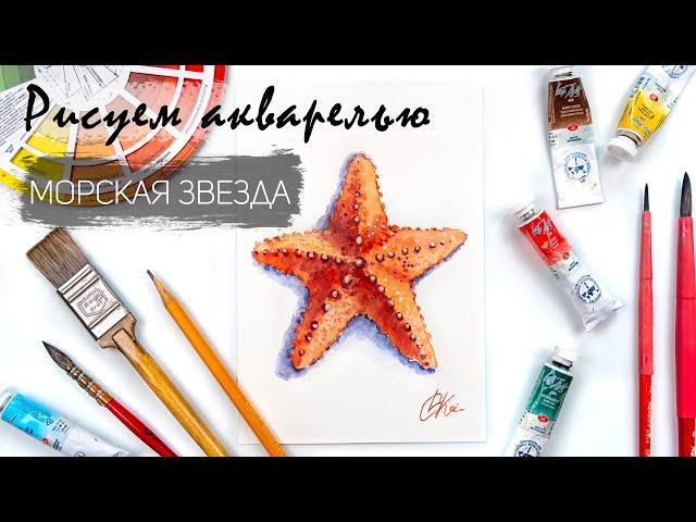 Рисуем морскую звезду. Уроки рисования. Акварель для новичков