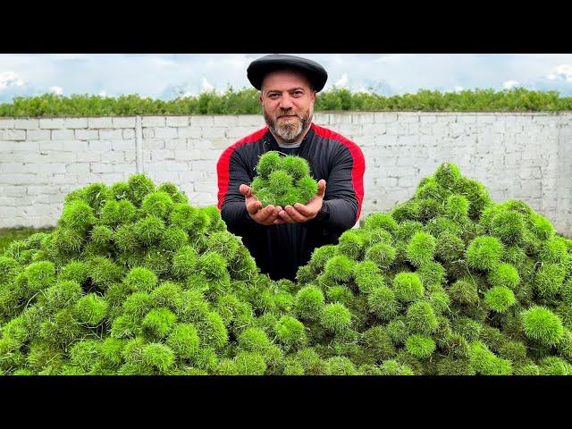 Picking Chestnuts and Cooking A Delicious Meat Dish Of Autumn! Unique Recipe