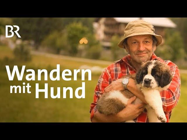 Was beachten und wie vorbereiten beim Wandern mit Hunden? | Berge | Doku | BR