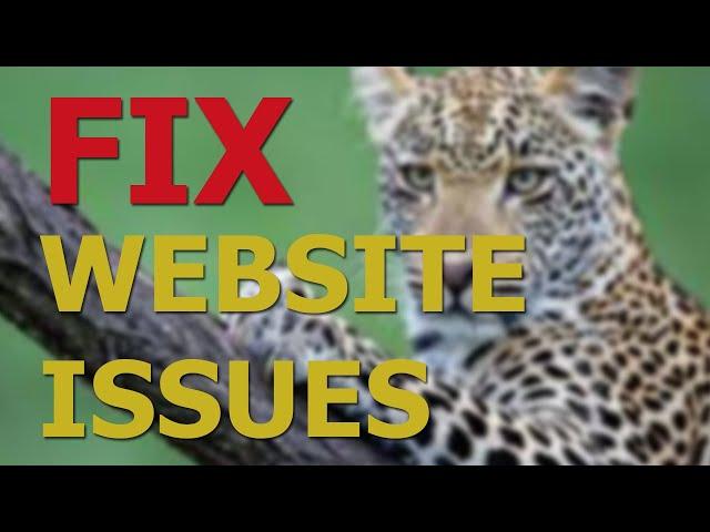 Fix Technical Website Issues - WowVisible