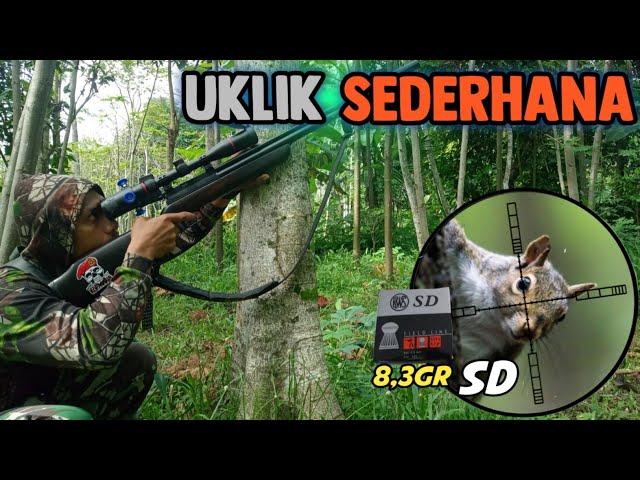 Berburu Tupai Bersama Uklik Satu JutaanSNIPER LUMAJANG