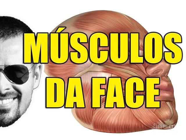 Músculos da Face: Mímica ou Expressão Facial - Anatomia Humana - Sistema Muscular - VideoAula 099