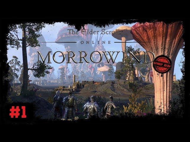 The Elder Scrolls Online (Стрим) #1. Пролог. Вварденфелл