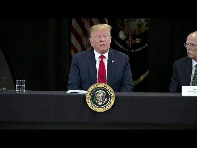 President Trump's remarks about the Notre Dame cathedral fire