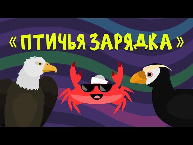 Капитан Краб: "Птичья зарядка"