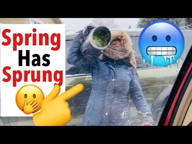 SPRING HAS SPRUNG | life in Canada vlog | sarah buyucan