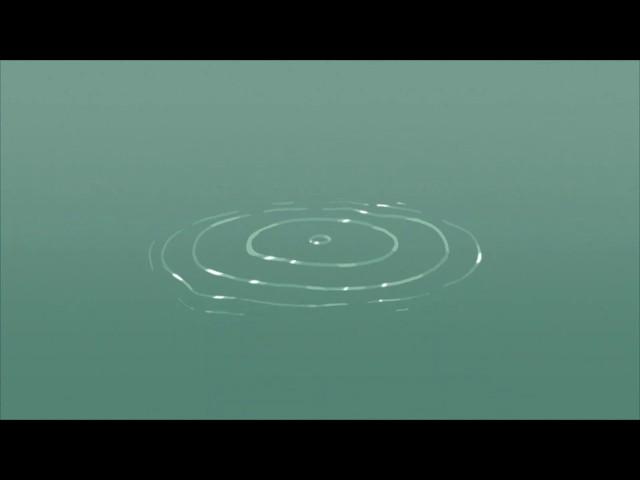 Water Ripples A | Animation | Experiment