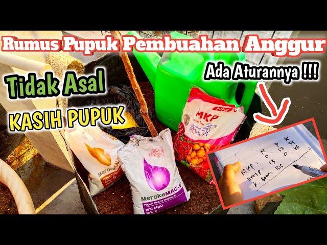 Ilmu Baru...!!! Rumus Pemberian Pupuk Pembuahan Anggur Agar Berbuah Lebat