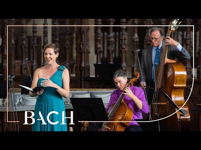 Bach - Cantata Weichet nur, betrübte Schatten BWV 202 - Yamagata | Netherlands Bach Society