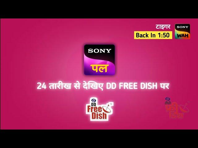 Sony pal dd free dish | add sony pal on dd free dish | dd free dish new upcoming channel 79e auction