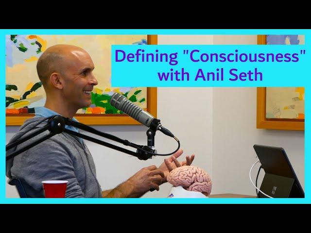 Defining Consciousness with Anil Seth: How Different Theories "Talk Past Each Other"