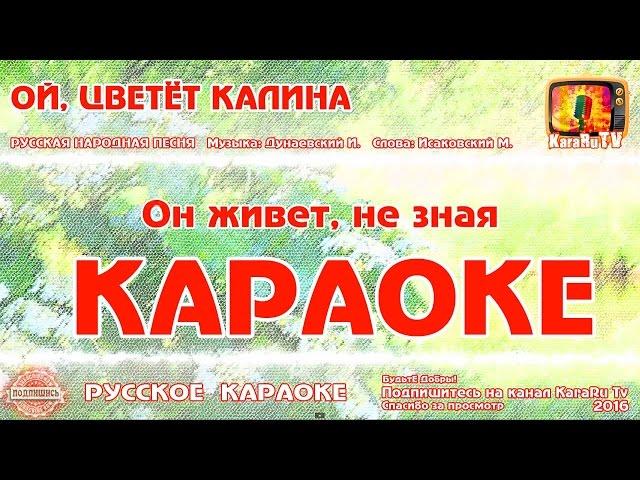 Karaoke - "Oh, viburnum blooms" Russian folk song