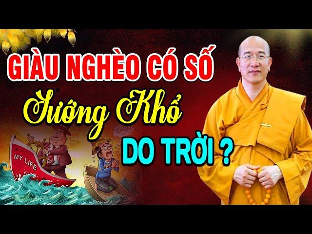 Giàu Nghèo có Số, Sướng Khổ do Trời hay do con người lựa chọn - Thầy Thích Trúc Thái Minh