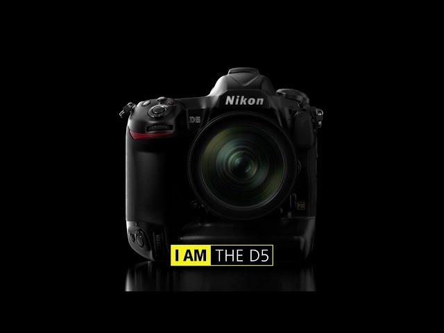 Nikon D5: Product Tour