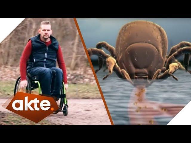 Gelähmt durch Zeckenbiss! Wie gefährlich ist Borreliose? | Akte | SAT.1 TV