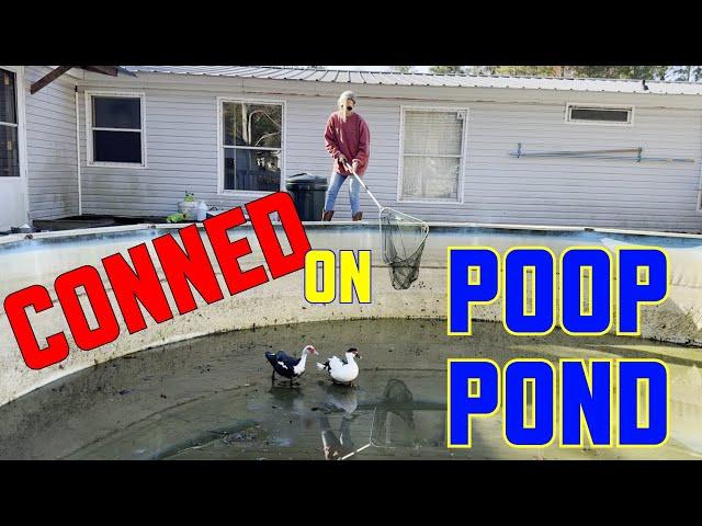 CONNED on POOP POND