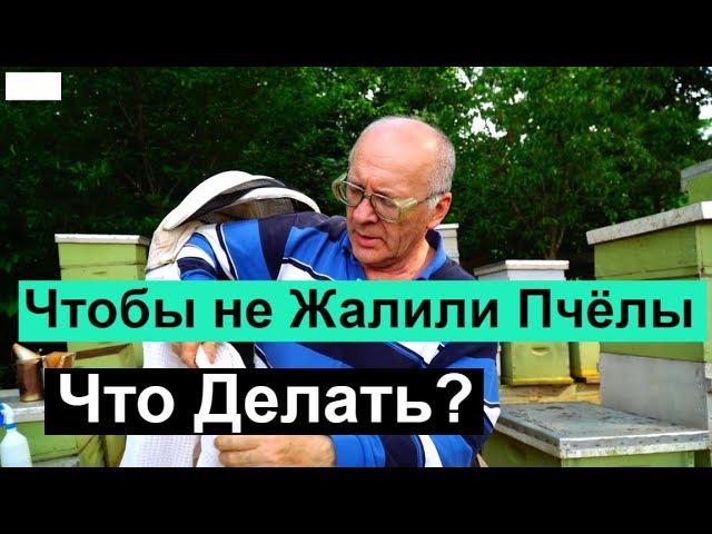 Пасека # 76 Чтобы не Кусали Пчёлы, Что Делать? Пчеловодство для начинающих