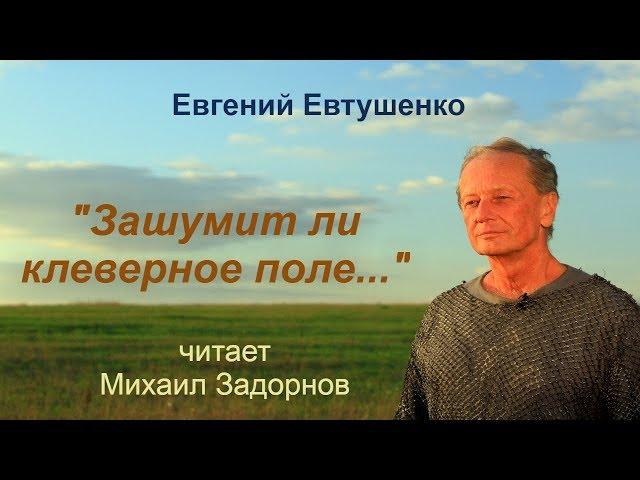 Михаил Задорнов читает стихотворение "Зашумит ли клеверное поле..."