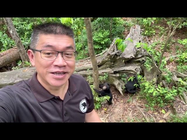 Happy father's day wish from Dr. Wong, CEO & Founder of the Bornean Sun Bear Conservation Centre