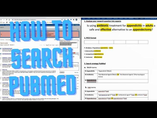 How to search PubMed in a systematic way
