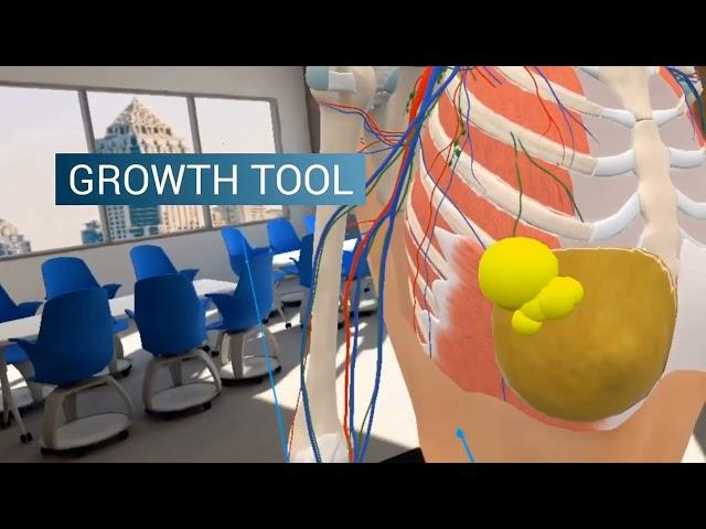 3D Organon VR Anatomy