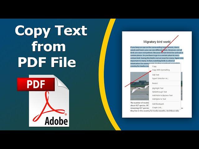 How to copy text from a PDF document without Losing Formatting using adobe acrobat pro dc