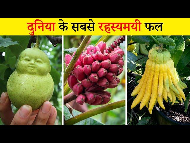 इतने bizarre Fruits  आपने पहले नही देखे होंगे | World’s Most Bizarre Looking Fruits