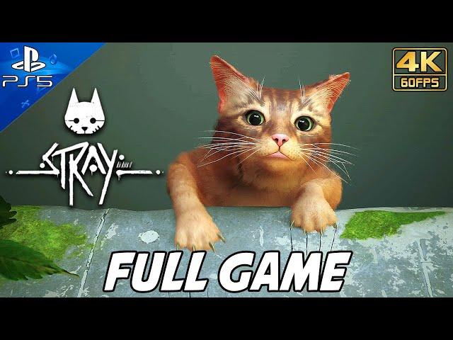 STRAY FULL GAME Walkthrough (PS5) No Commentary Gameplay @ 4K 60ᶠᵖˢ 