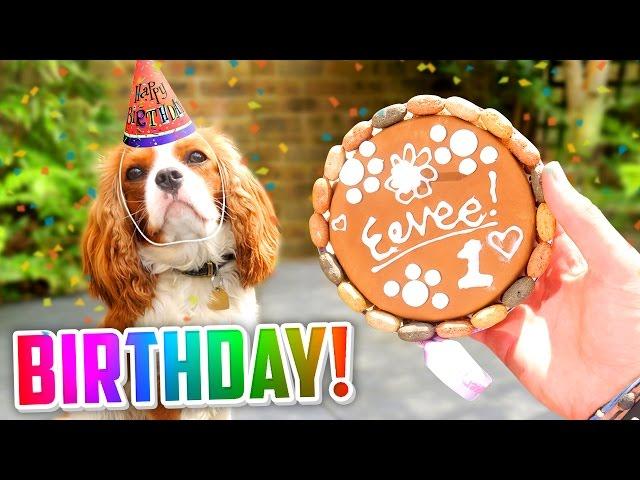  EEVEE'S 1st BIRTHDAY! ( Presents,  Cake +  MORE!)