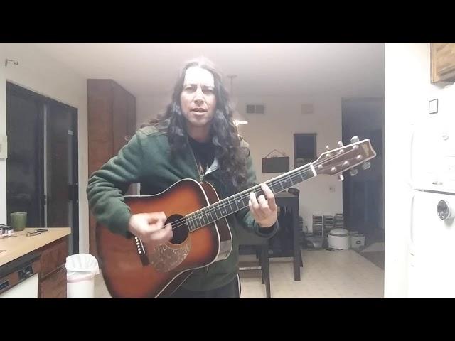 Jellyfish - That Is Why (acoustic cover)