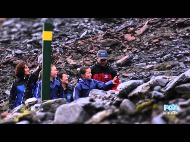 Fox Trail Fox Glacier Guiding