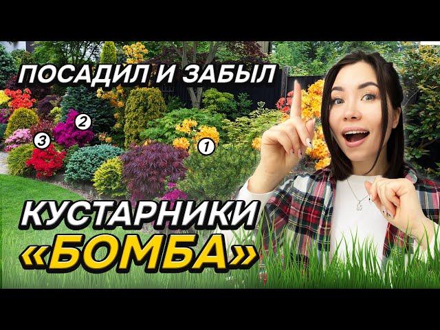 10 кустарников которым ВООБЩЕ НЕ нужен уход