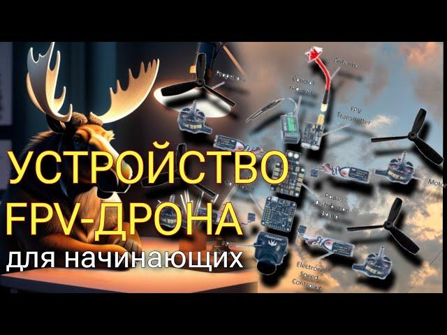 Устройство FPV-дрона для начинающих